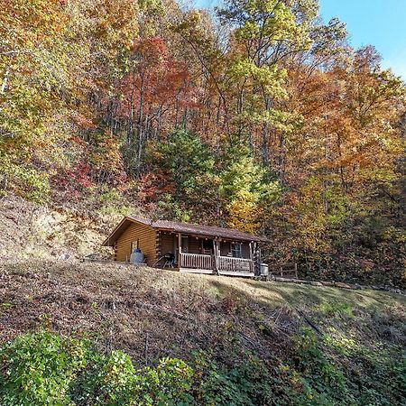 Moonlight Ridge Cabin Villa Bryson City Kültér fotó